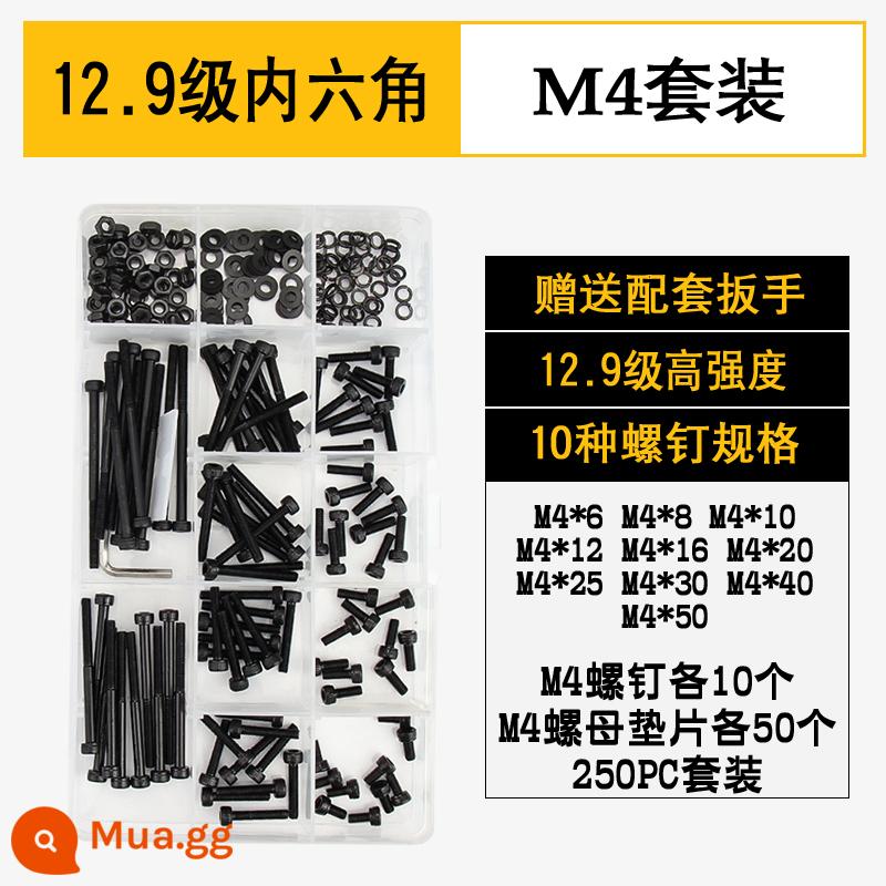 Vít lục giác bên trong M2M3M4M5M6M8M10 Vít đầu cốc cường độ cao cấp 12.9 Vít đầu bu lông hình trụ - Bộ ổ cắm lục giác M4