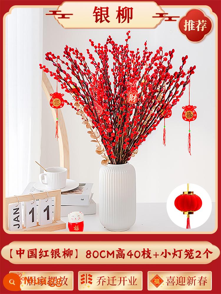 Inch Hoa Vàng Cây thủy canh Forsythia Cành khô Cắm hoa Phòng khách Cành tươi Thủy canh Hoa tươi cắt đêm giao thừa - Cây liễu bạc loại A cao 80cm 40 cành + 2 chiếc đèn lồng nhỏ