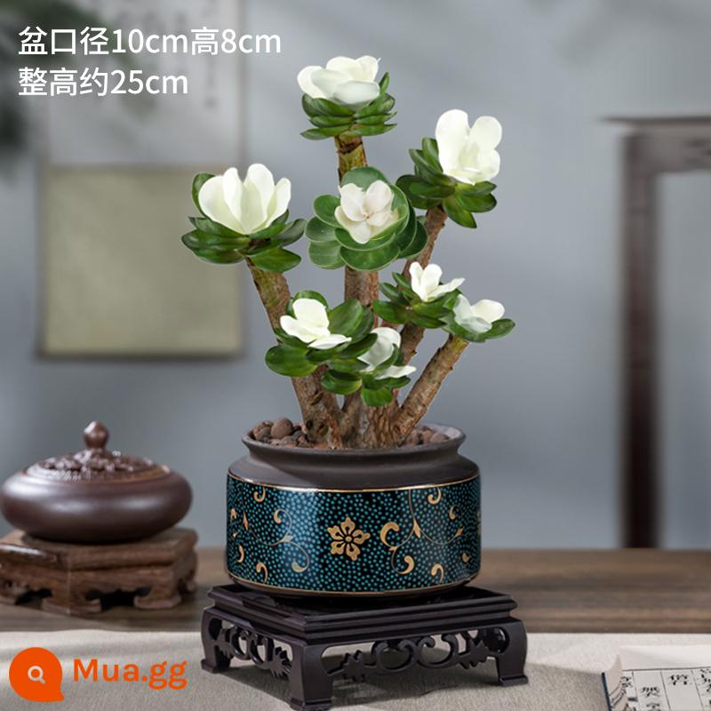 Tiền bằng gỗ chậu cây phổ biến Polynous Poor Green Plants Office Nội thất hoa máy tính để bàn cao -end Zen nhỏ Losits - [Hình chính] Chậu hoa gỗ tiền thổ cẩm ngọc + đế vuông