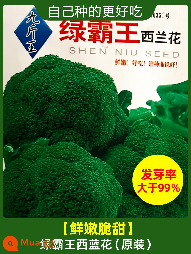 Mùa xuân gieo các loại rau giống và cây giống tất cả các mùa mùa hè cà chua tiêu hạt giống cà chua dưa chuột hạt giống miền nam - [Hoa xanh phương Tây] Nine Jin King Green Overlord 1 túi