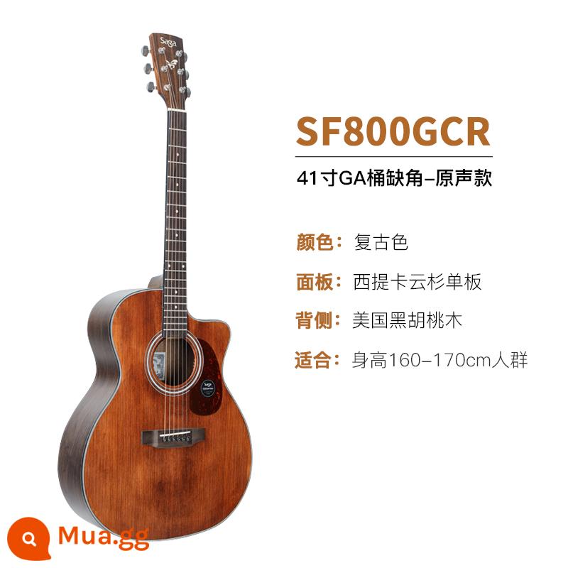 Giới thiệu đàn guitar Saga sf700 cho người mới bắt đầu chơi đàn guitar acoustic dân gian Saga 41 inch chính hãng được khuyên dùng cho bé trai và bé gái - SF800GCR/41 inch/góc cắt