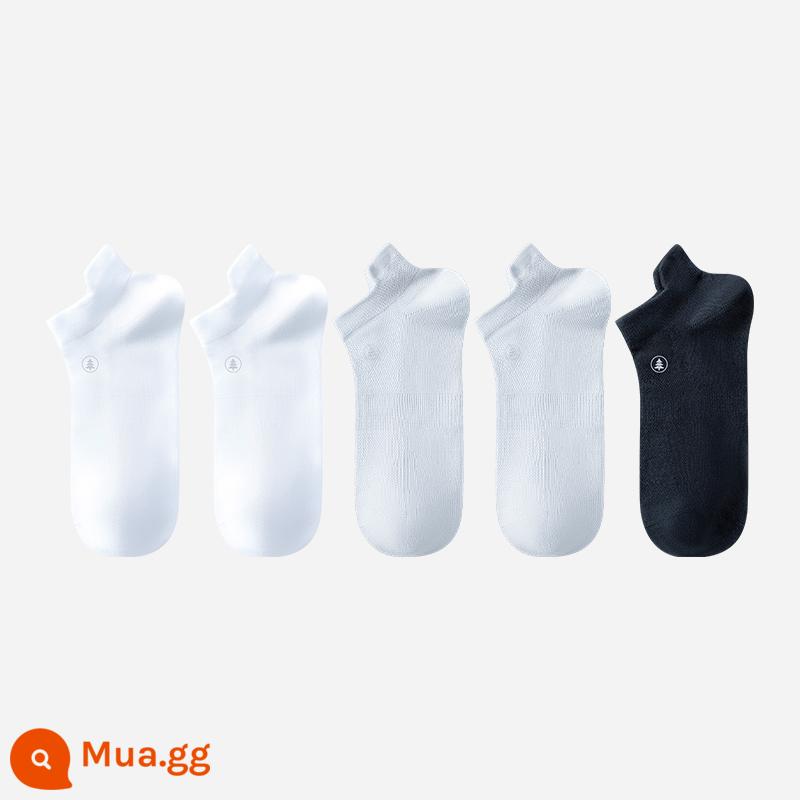 Matsuyama Cotton Shop Vớ ống dài Đôi Vớ thể thao nam nữ Vớ chống mài mòn thoáng khí thấm hút mồ hôi Vớ cotton Vớ ống kháng khuẩn - [Ống ngắn nam] trắng + trắng + xám nhạt + xám nhạt + đen