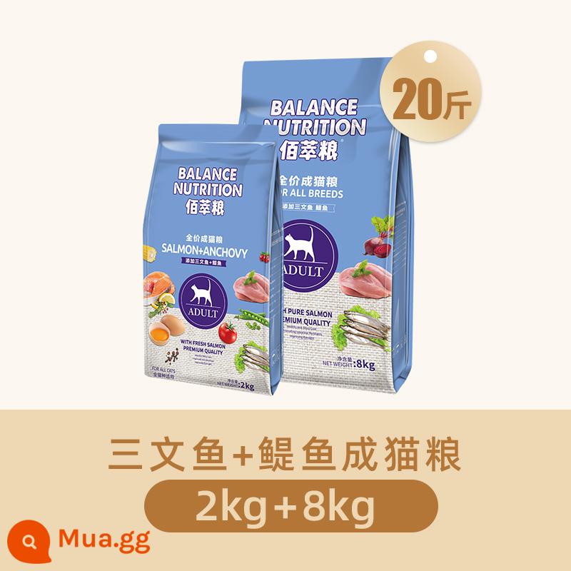 Thức ăn cho mèo McFudi 10kg vào mèo quảng bá cho bóng nuôi dưỡng Bai Cat Cat Food Cat Ying ngắn 8 pound 20 pound túi lớn - [Cá cơm Bai Cui 20 catties] Thức ăn cá cơm cá hồi cho mèo trưởng thành 10kg (8kg+2kg)