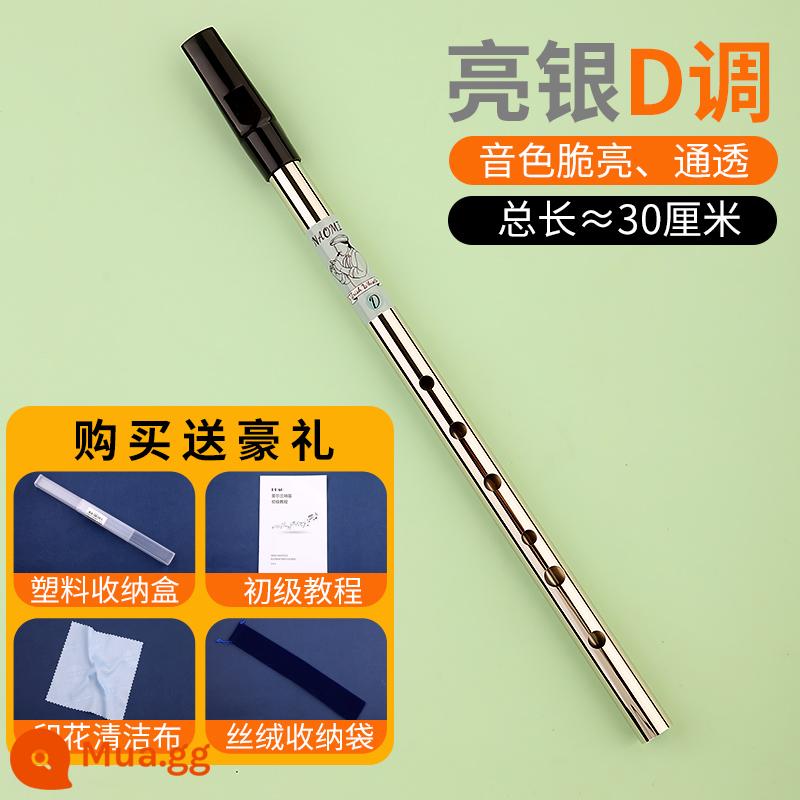 Tiếng còi Ailen người mới bắt đầu nhập cảnh sinh viên miệng sáo 6 lỗ CD key bagpipe kim loại mới ghi sáo nhạc cụ - [Tông màu D bạc sáng] Thân sáo bằng đồng + ống ngậm bằng nhựa