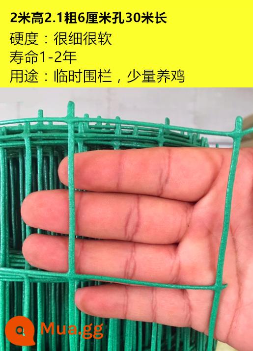 Aishang Dutch Net Iron Wire Fence Fence Net Family Chặn Gà vịt Net Net Phân lập Net Net Net Net Net - Dày 2,1 * cao 2,0 mét * lỗ 6 cm 30 mét Trọng lượng 17 pound phiên bản đậm và nặng hơn