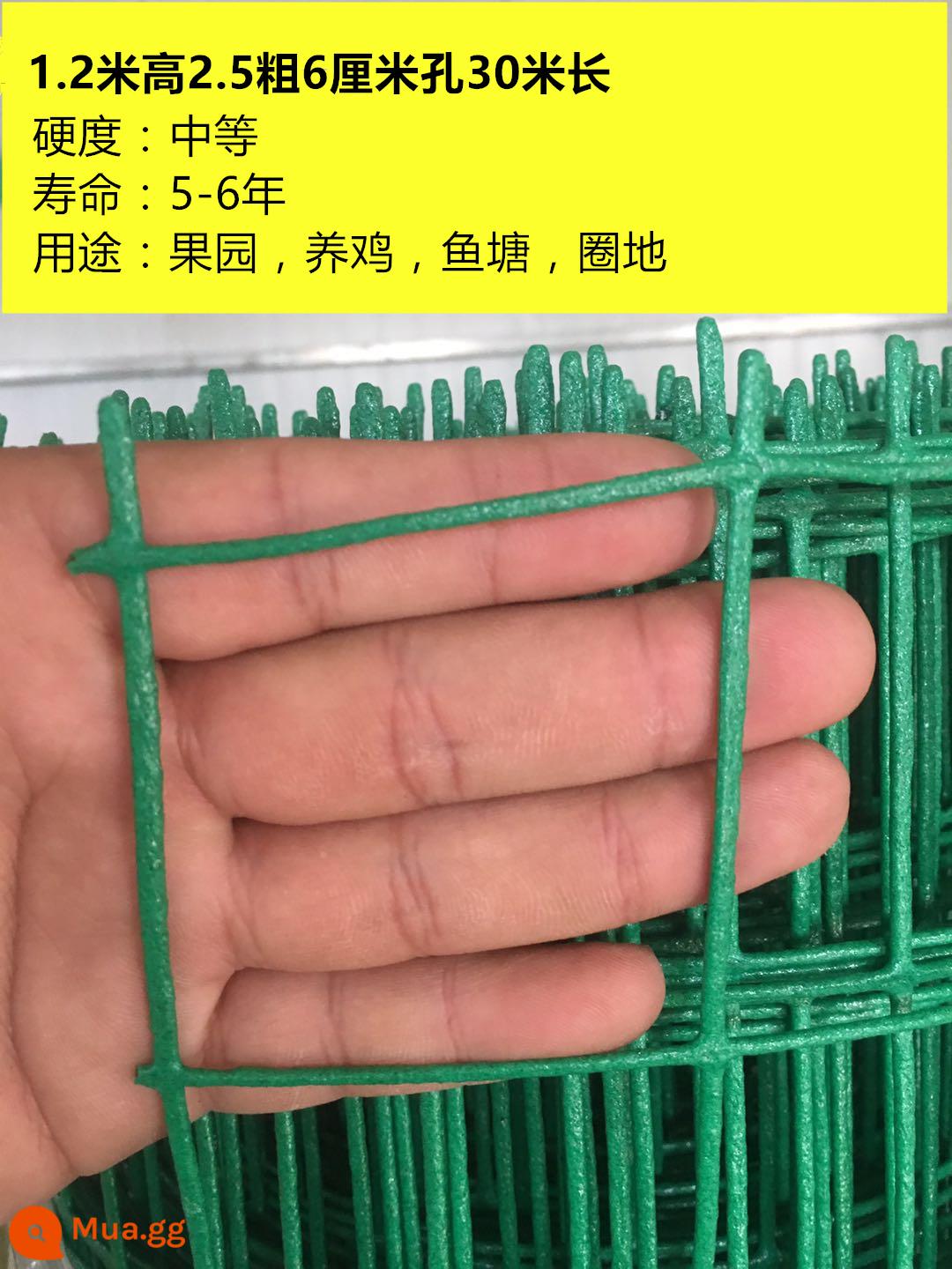 Aishang Dutch Net Iron Wire Fence Fence Net Family Chặn Gà vịt Net Net Phân lập Net Net Net Net Net - Dày 2,5 * cao 1,2 mét * lỗ 6 cm 30 mét Trọng lượng 16 pound Hình ảnh chính kiểu video