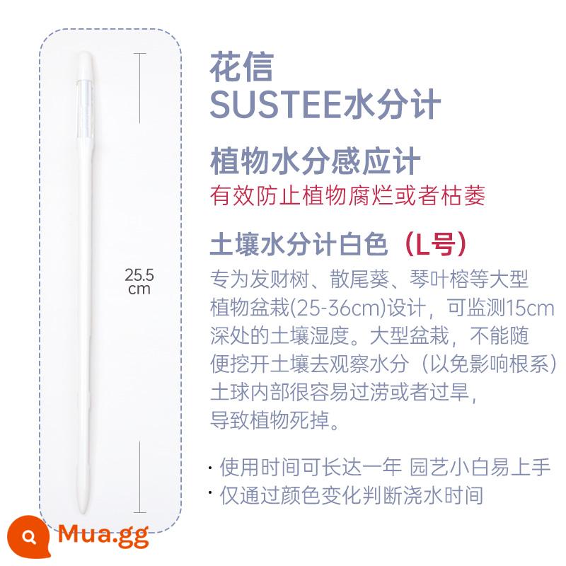 sustee hoa trồng thư đồng hồ đo độ ẩm thiếu nước nhắc nhở dụng cụ phát hiện ẩm kế đất nhắc nhở tưới cây - Máy đo độ ẩm đất trắng (size L)