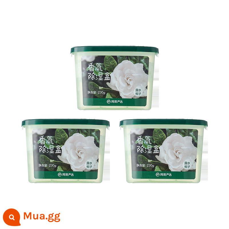 NetEase lựa chọn kỹ càng hộp hút ẩm hương thơm, tạo tác hút ẩm và hút ẩm, tủ đựng giày dép, hạt hút ẩm khử mùi và chống mùi thơm, chống ẩm và chống nấm mốc - 3 hộp