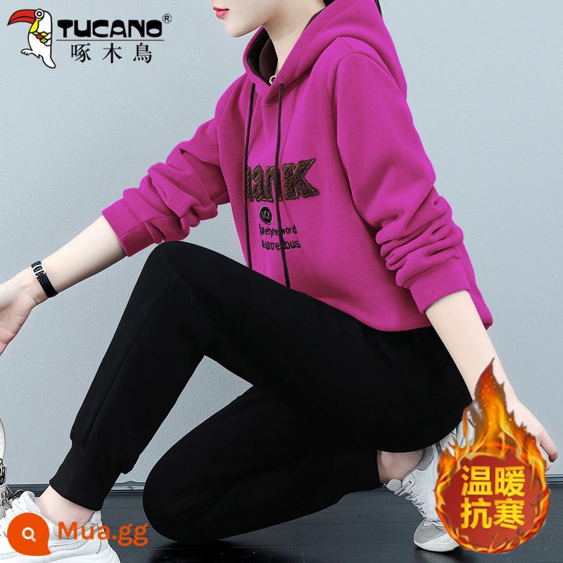 Chim Gõ Kiến Mùa Đông Trang Bộ Đồ Thể Thao Nữ 2022 Mới Rời Cổ Nữ Hoodie 2 Bộ - Hoa hồng đỏ [nhung dày]