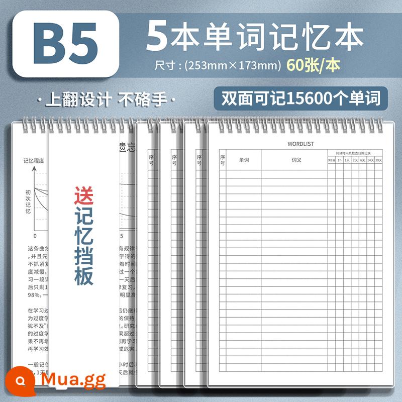 Bộ nhớ sách từ tiếng Anh Đường cong trí nhớ Ebbinghaus sinh viên đại học kỳ thi tuyển sinh sau đại học chính tả viết ghi nhớ hiện vật sổ ghi chép từ mới bốn cấp sáu cấp Nhật Bản khuyến mãi đặc biệt từ vựng trường trung học cơ sở trường trung học phổ thông đã quên - 5 cuộn [B5] với tổng số 600 trang • Bao gồm 5 vách ngăn bộ nhớ