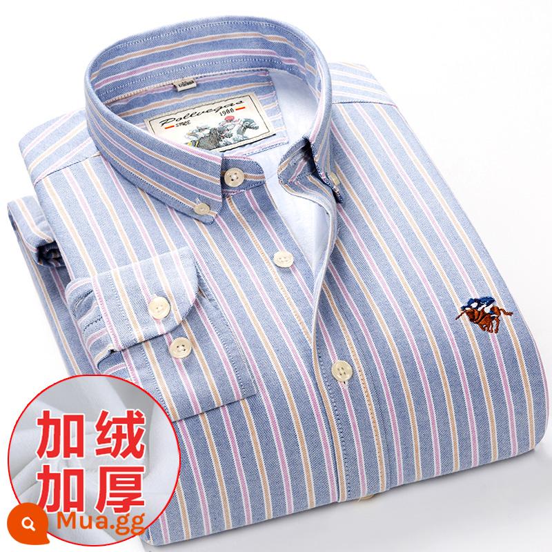 Ralph Lauren Polo Áo sơ mi mùa xuân, mùa thu, áo khoác cotton dài tay nam, áo khoác Oxford kiểu dáng doanh nhân, áo sơ mi sọc cotton không sắt - Mẫu nhung PL8040 Plus