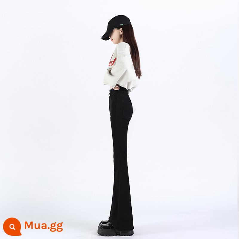 Plus nhung quần jean ống loe siêu nhỏ dành cho nữ mùa thu đông mới cạp cao phong cách retro Mỹ màu xám xi măng quần ống loe dài chấm sàn nhỏ nhắn hợp thời trang - đen (chín điểm)