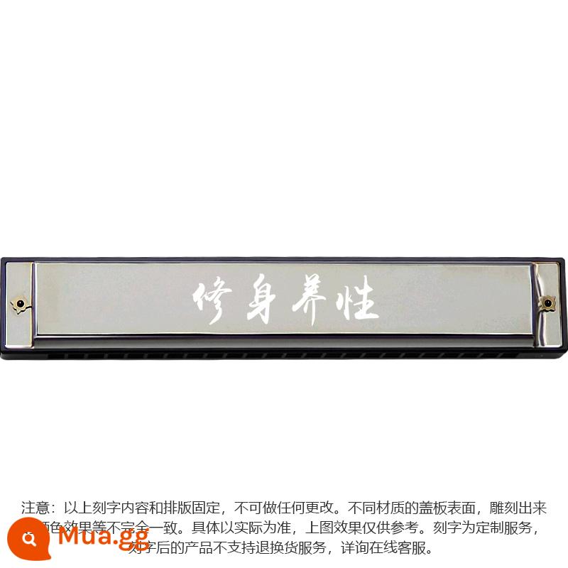 Harmonica tombo chính hãng Nhật Bản cao cấp dành cho người lớn trình diễn chuyên nghiệp cấp độ 24 lỗ kèn harmonica đa âm C key 6624S - Mẫu chữ miễn phí để tự trau dồi (lưu ý chế độ)