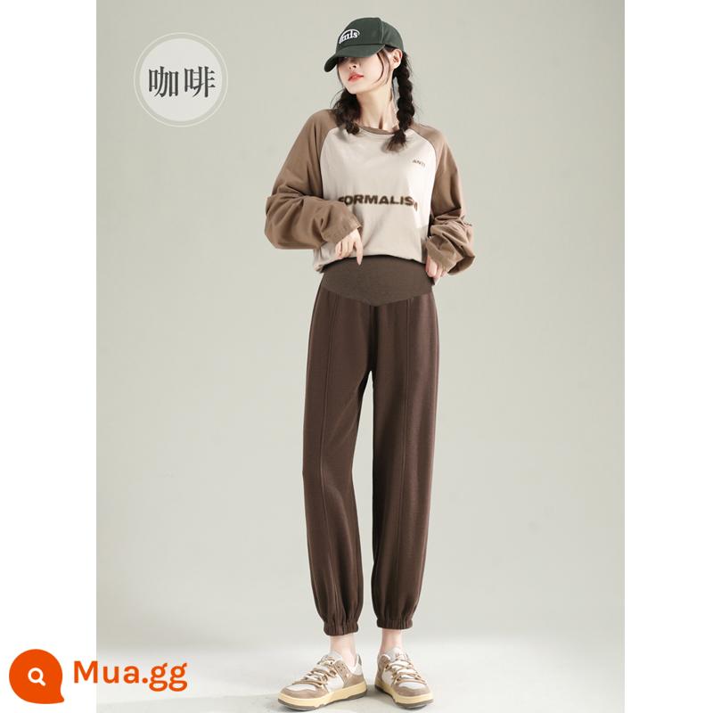 Quần dài dành cho phụ nữ mang thai mùa xuân và mùa thu mặc bên ngoài mùa thu và mùa đông quần cotton ấm áp thể thao mới phong cách mùa đông cộng với quần vệ sinh dày nhung quần áo mùa xuân nhỏ - Màu nâu