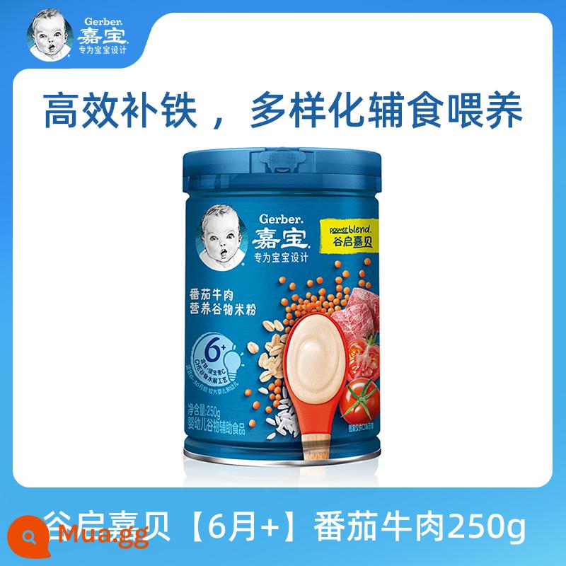 Cửa hàng hàng đầu chính thức của Gia Bảo trong nước Mì gạo tốc độ cao cho bé 6 tháng tuổi thức ăn không ăn dặm bột gạo vitamin C cho bé 250g - Guqi Jiabei [6 tháng +] Thịt bò cà chua 250g