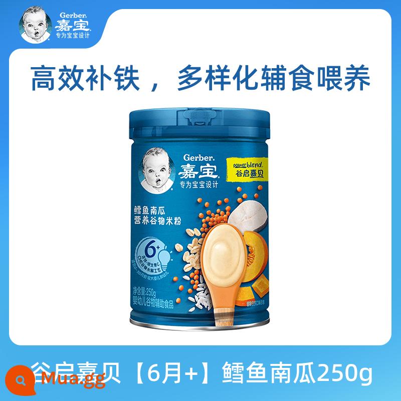 Cửa hàng hàng đầu chính thức của Gia Bảo trong nước Mì gạo tốc độ cao cho bé 6 tháng tuổi thức ăn không ăn dặm bột gạo vitamin C cho bé 250g - Guqi Jiabei [6 tháng +] Bí ngô cá tuyết 250g