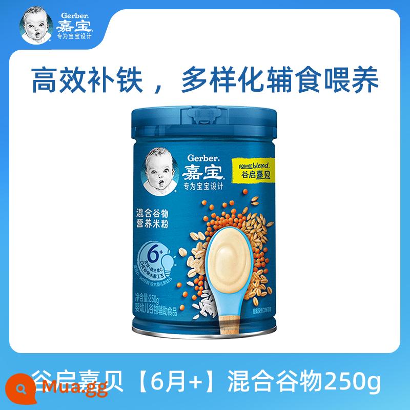 Cửa hàng hàng đầu chính thức của Gia Bảo trong nước Mì gạo tốc độ cao cho bé 6 tháng tuổi thức ăn không ăn dặm bột gạo vitamin C cho bé 250g - Ngũ cốc hỗn hợp Guqi Jiabei [6 tháng +] 250g