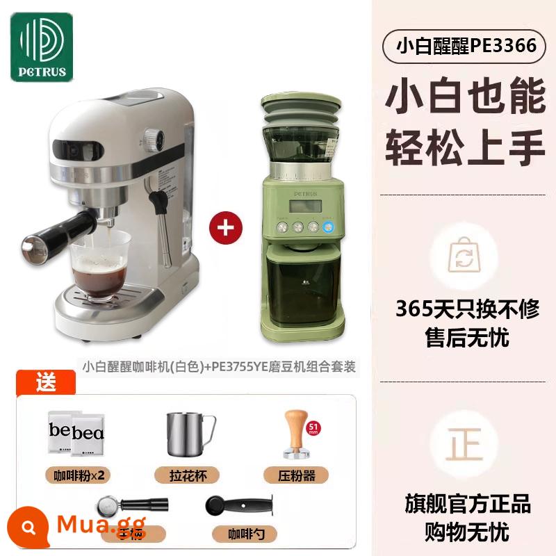 Máy pha cà phê Petrus hộ gia đình nhỏ PE3366 Xiaobai Xingxing hoàn toàn bán tự động Ý espresso thương mại bọt sữa tươi xay - Xiaobai Xingxing+PE3755