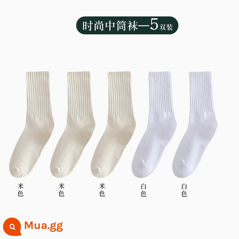 Vớ nữ ống giữa thu đông ins thủy triều kèm quần cá mập áo khoác ngoài ống dài vớ cotton không xương Plus nhung dày dặn mùa đông - Người bán hàng khuyên dùng cotton chải kỹ-3 màu be + 2 màu trắng