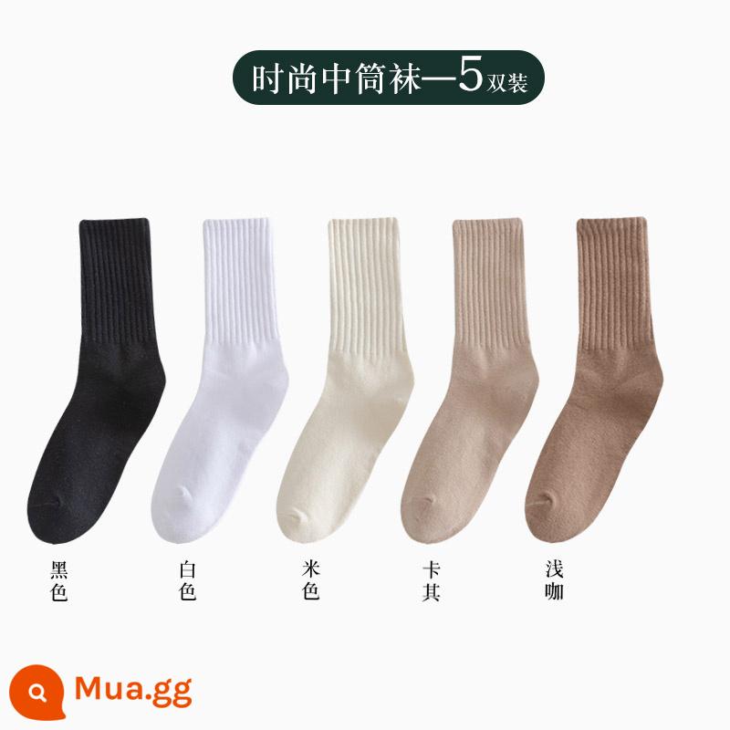 Vớ nữ ống giữa thu đông ins thủy triều kèm quần cá mập áo khoác ngoài ống dài vớ cotton không xương Plus nhung dày dặn mùa đông - Người bán hàng khuyên dùng cotton chải kỹ - đen + trắng + be + kaki + cà phê nhạt