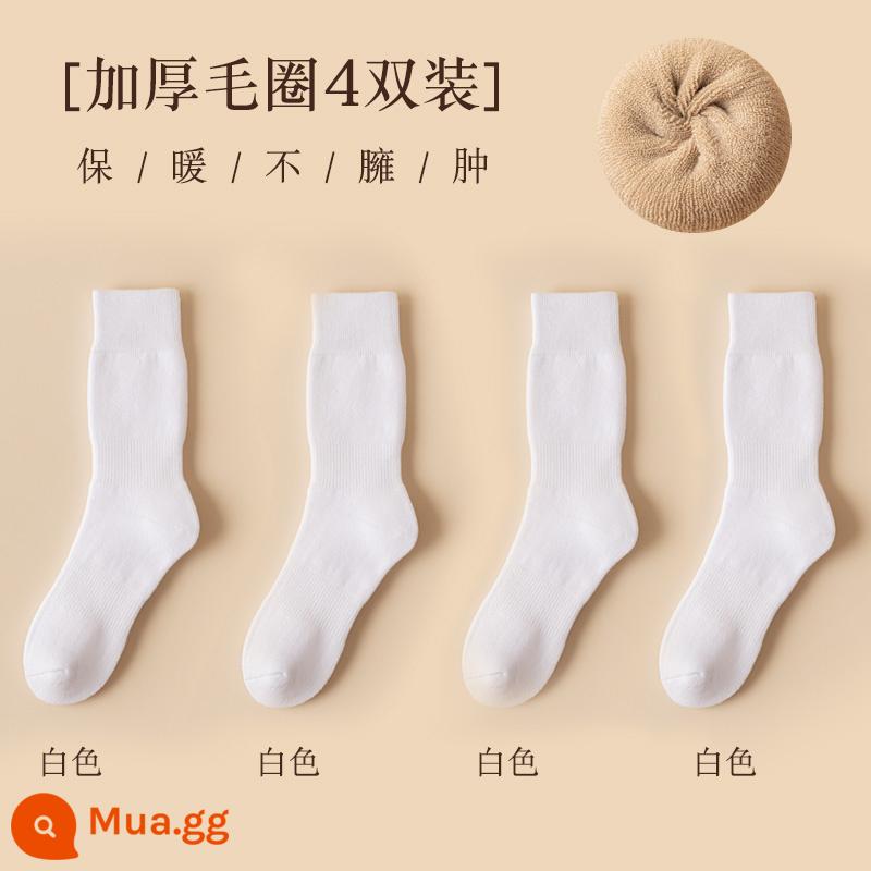 Vớ nữ ống giữa thu đông ins thủy triều kèm quần cá mập áo khoác ngoài ống dài vớ cotton không xương Plus nhung dày dặn mùa đông - Full terry style-4 màu trắng