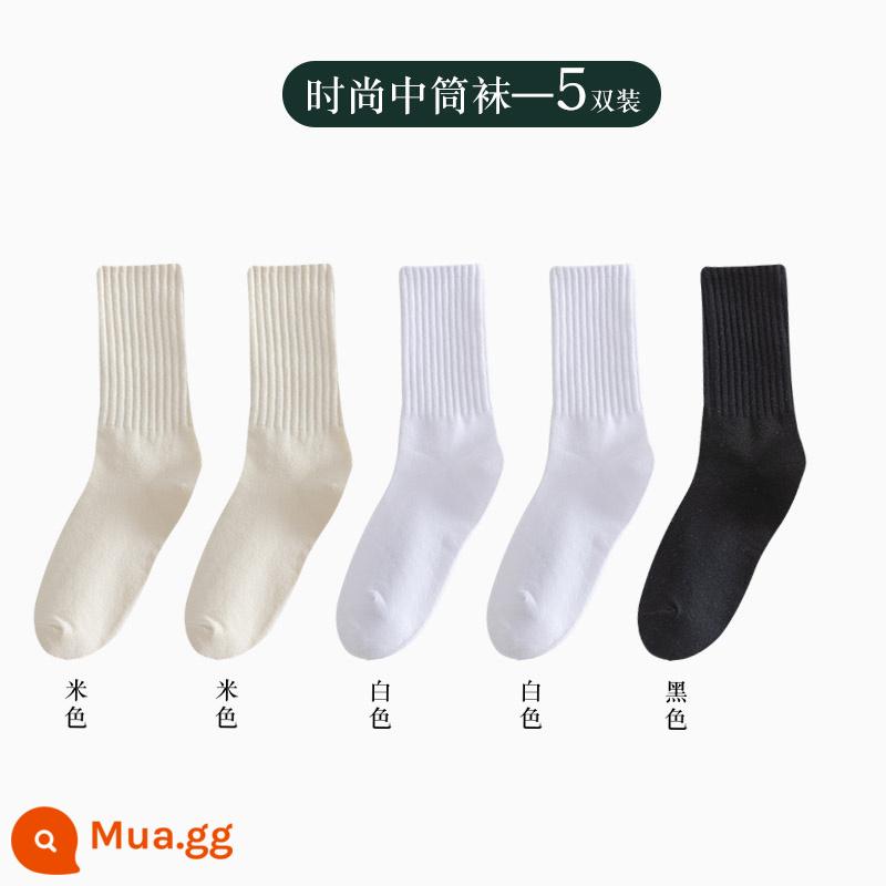 Vớ nữ ống giữa thu đông ins thủy triều kèm quần cá mập áo khoác ngoài ống dài vớ cotton không xương Plus nhung dày dặn mùa đông - Người bán hàng khuyên dùng cotton chải kỹ-2 màu be + 2 trắng + đen