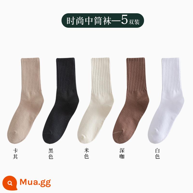 Vớ nữ ống giữa thu đông ins thủy triều kèm quần cá mập áo khoác ngoài ống dài vớ cotton không xương Plus nhung dày dặn mùa đông - Người bán hàng khuyên bạn nên chải kỹ bằng cotton-kaki+đen+be+cà phê đậm+trắng