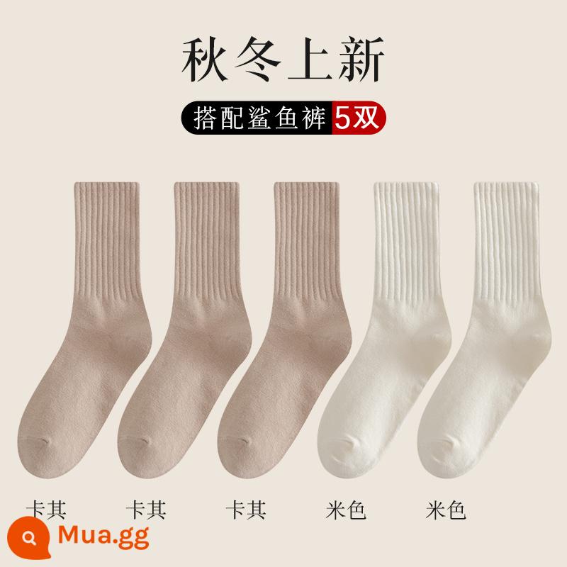 Vớ nữ ống giữa thu đông ins thủy triều kèm quần cá mập áo khoác ngoài ống dài vớ cotton không xương Plus nhung dày dặn mùa đông - Kiểu dáng thông thường không xương-3 kaki + 2 màu be