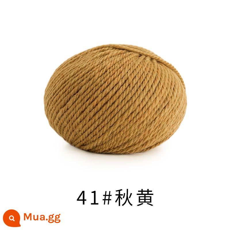 Chị Susu nhà Morandi 8 # Sợi len merino Úc handmade DIY dệt kim khăn mũ len bóng - 41#Mùa thu vàng