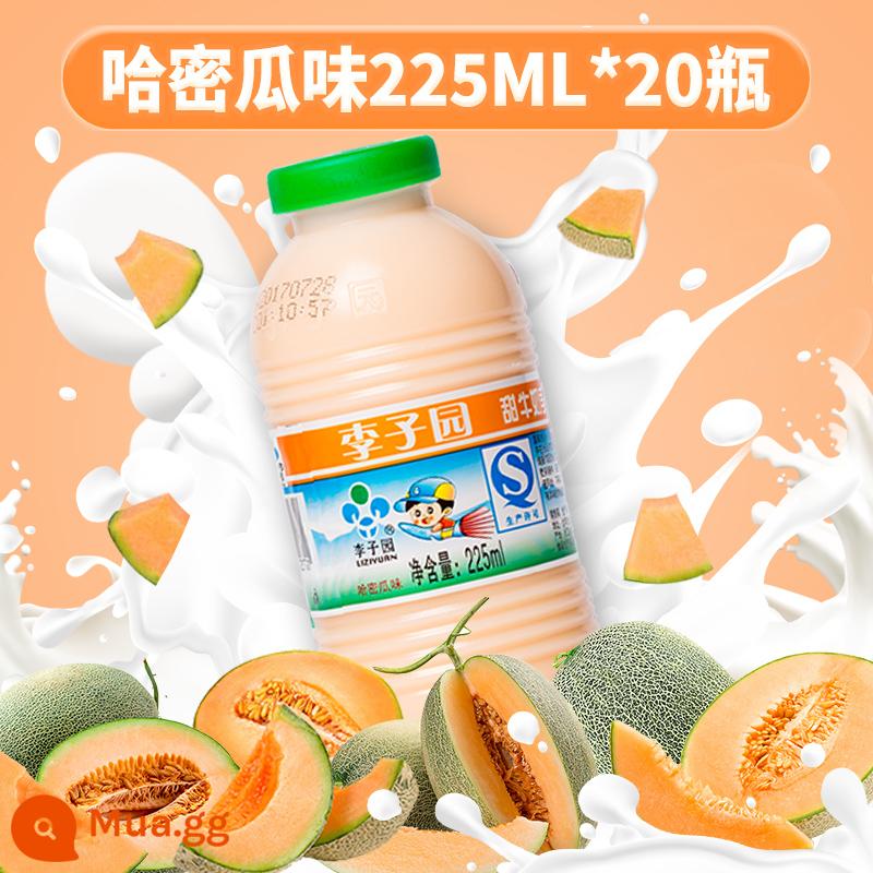 Sữa ăn sáng có đường Plum Garden hộp nhỏ 225ml sữa ngọt nguyên vị dâu Sữa uống trẻ em ưu đãi đặc biệt - Dưa lưới 225ml*20 chai