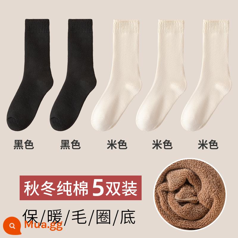 Vớ nữ mùa thu đông vớ bông nhung bông giữa ống dày ấm cotton mùa đông khăn siêu dày vớ - [5 đôi] 2 đen + 3 be