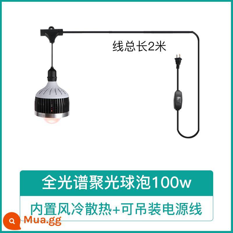 Mọng Nước Lấp Đầy Ánh Sáng Suốt Bóng Đèn Downlight Đặc Biệt Hộ Gia Đình Tô Màu Trong Nhà Giả Mặt Trời Tăng Trưởng Thực Vật Đèn - Bóng đèn tập trung toàn phổ 100w (có thể treo bằng dây nguồn)