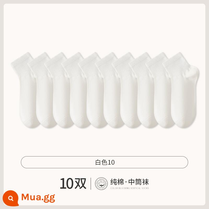 Chư Kỵ Trắng Tất Ngắn Nam Cotton Giữa Ống Tất Mùa Hè Phần Mỏng Đồng Màu Không Xương Khử Mùi Thể Thao Mùa Thu Vớ - [10 đôi] Trắng 10