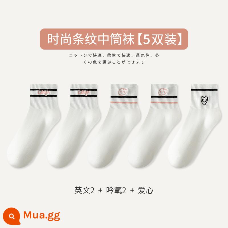 Tất Zhuji Tất Nữ Xuân Thu Giữa Ống Tất Cotton Nguyên Chất Maillard Sọc Bong Bóng Tất Plus Nhung Mùa Đông dày Tất Dài - [5 đôi tất] Tiếng Anh 2 Âm Oxy 2 Tình Yêu