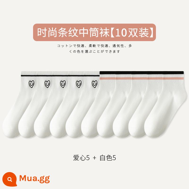 Tất Zhuji Tất Nữ Xuân Thu Giữa Ống Tất Cotton Nguyên Chất Maillard Sọc Bong Bóng Tất Plus Nhung Mùa Đông dày Tất Dài - [10 đôi tất] Yêu 5 Trắng 5