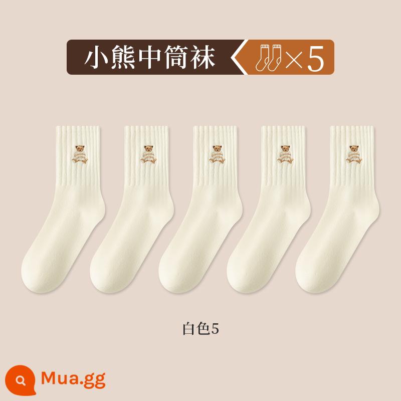 Zhuji Tất Nữ Cotton Nguyên Chất Giữa Ống Tất Xuân Thu Mùa Đông 2024 Gấu Maillard Không Xương Nâu vớ - Kết hợp sáu (năm đôi, dòng cotton nguyên chất chống vón cục) màu trắng 5