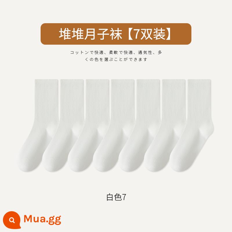 Tất Zhuji Tất bong bóng đen trắng nữ Cotton nguyên chất giữa ống kiểu xuân thu Tất không xương Mùa đông sau sinh Vớ hợp thời trang - Trắng 7