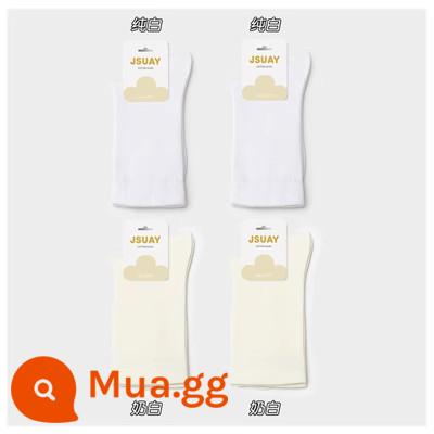 Tất nữ Tất bong bóng không xương mùa thu đông Tất ống giữa bằng cotton nguyên chất Xuân Thu Tất đen kết hợp với giày da nhỏ Giày lười - Trắng tinh khiết 2+Trắng sữa 2