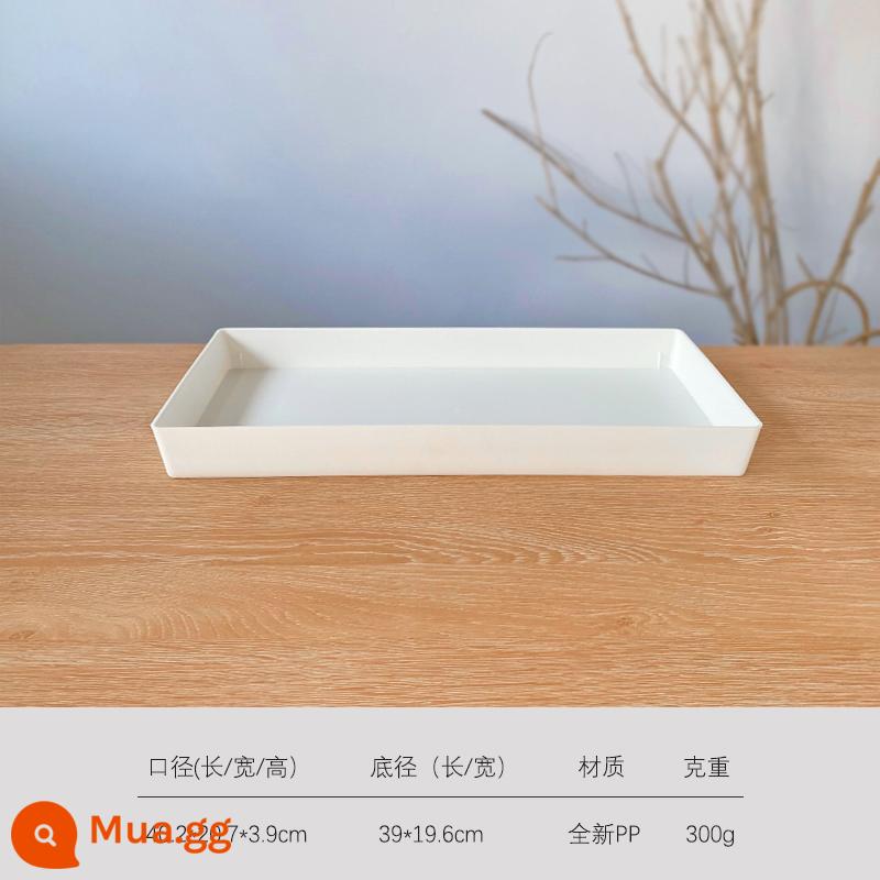 3.5 miệng chậu trắng ấm mini mọng nước chậu hoa nhỏ nhựa ngón tay cái nồi mọng nước nồi đặc biệt nguyên đá hoa thịt nón nồi - 4 khay lớn đơn giản có thể chứa được 50 chậu 3,5 miệng