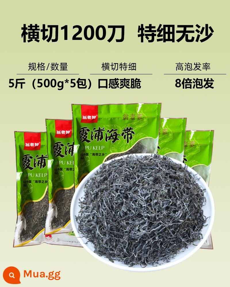 Tảo bẹ khô sợi, sợi Kasumigaura không muối, mì bò ép lạnh tảo bẹ cắt lát ăn liền 500g thương mại - 5 pound sợi tảo bẹ cắt chéo (1 pound * 5 gói)