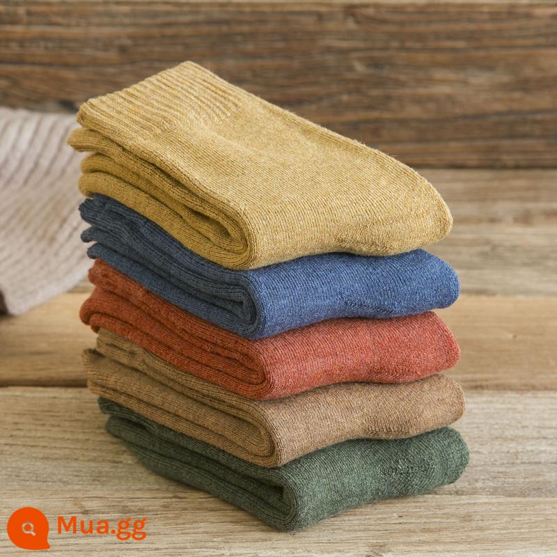 Vớ dày mùa đông nam dày đặc nguyên chất cotton ấm dài -tube vớ dài mùa đông cộng với vớ nhung nam Middle Tube - 5 đôi (tổ hợp 8) màu xanh nghệ caramen kaki xanh