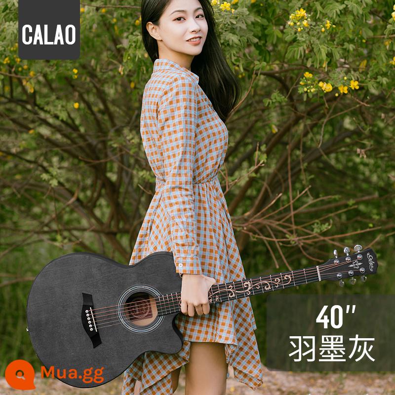 Calleo 41 inch veneer guitar sinh viên nữ nam dân gian acoustic Đàn guitar lưới 40 inch màu đỏ họa tiết cá tính nhạc cụ - [Bảng đơn] Màu xám lông vũ khắc 40 inch + phụ kiện + bộ chỉnh + hướng dẫn