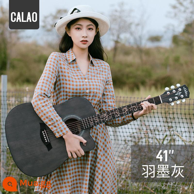 Calleo 41 inch veneer guitar sinh viên nữ nam dân gian acoustic Đàn guitar lưới 40 inch màu đỏ họa tiết cá tính nhạc cụ - [Bảng đơn] Màu xám lông vũ khắc 41 inch + phụ kiện + bộ chỉnh + hướng dẫn