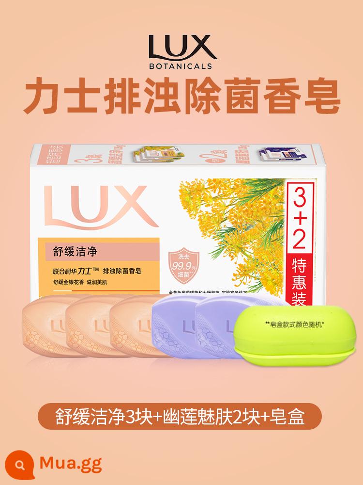 Xà phòng lux tinh dầu hoa hồng trẻ hóa da lâu dài Youlian charm skin xà phòng ẩm mượt nam nữ tắm rửa mặt - [Tổng cộng 5 miếng] 3 miếng làm dịu và làm sạch + 2 miếng da Youlian + hộp xà phòng