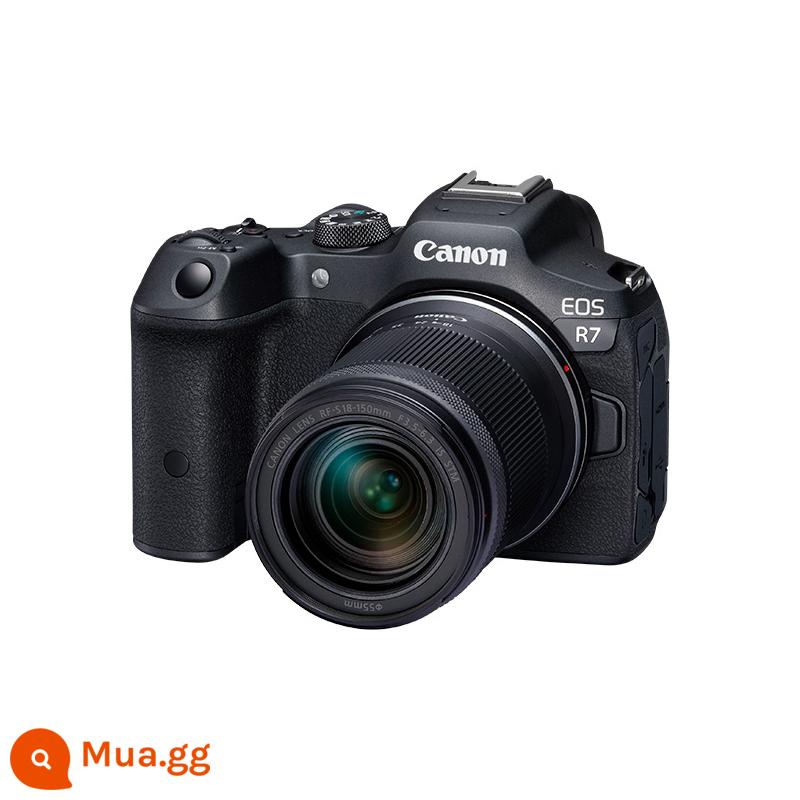 Canon EOS R7 HD Digital Mid -Level Half -Grad - đen