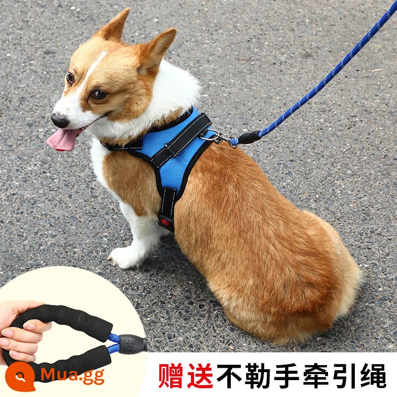 Dây dắt chó kiểu vest cỡ vừa chó nhỏ corgi bichon gấu bông ôm ngực túi bé chó con xích chó đi dạo xích chó - Ngực và lưng màu xanh [dây kéo 1,5m miễn phí]