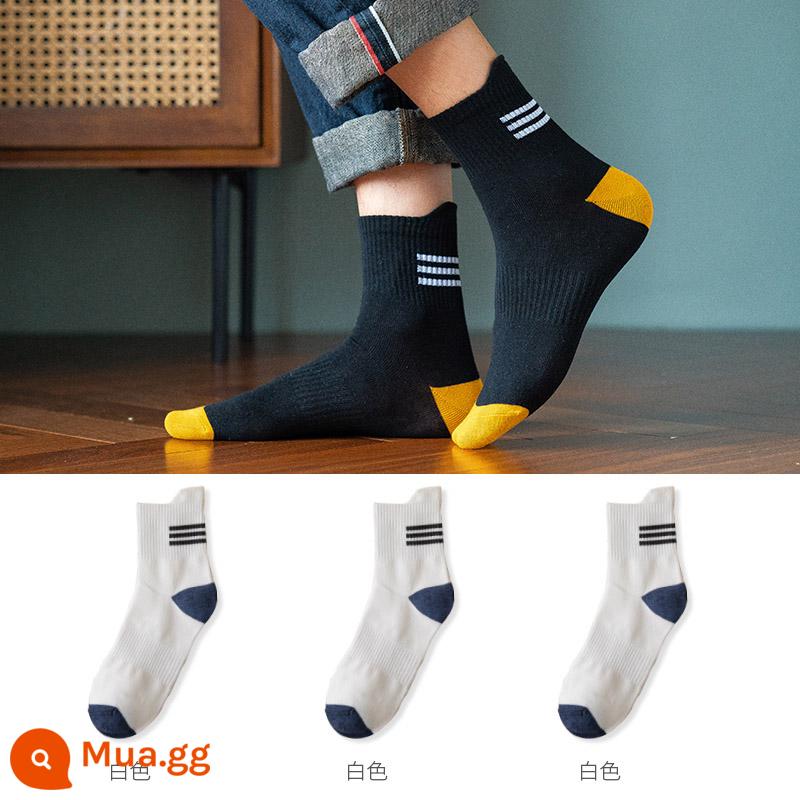 Vớ nam tính giữa, mồ hôi, mùa xuân đen, mùa thu và mùa đông nam không -cotton Stockings Thể thao Hệ thống Nhật Bản - 3 màu trắng