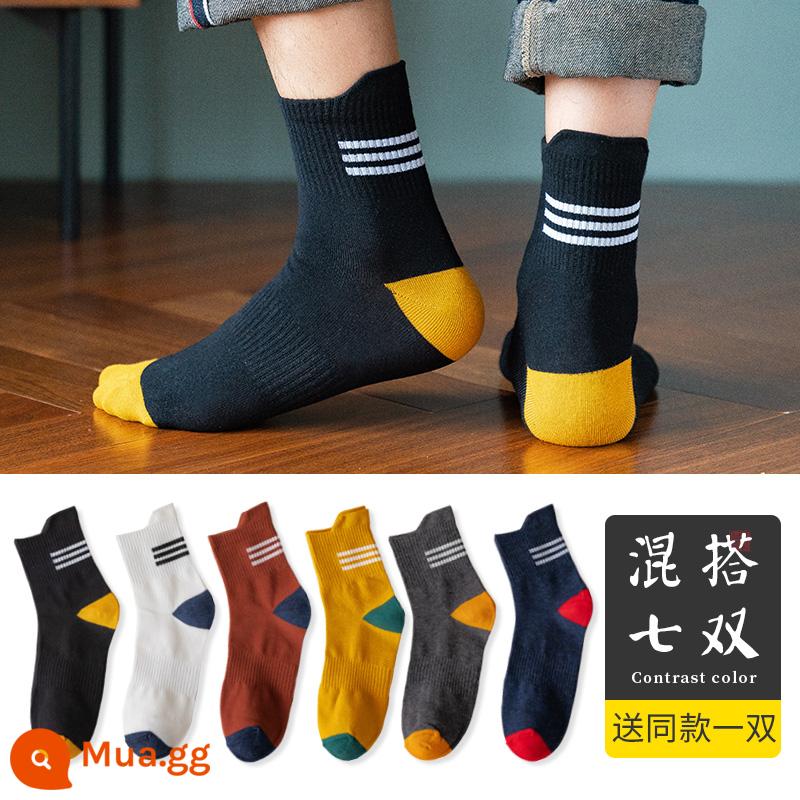 Vớ nam tính giữa, mồ hôi, mùa xuân đen, mùa thu và mùa đông nam không -cotton Stockings Thể thao Hệ thống Nhật Bản - Đen. Trắng. Đỏ gạch. Nghệ. Xám đậm. Xanh hải quân + tặng một đôi cùng kiểu (tổng cộng bảy đôi)