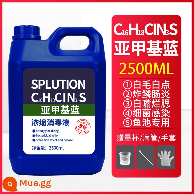 Khử trùng bể cá bệnh cá thối xanh metylen đặc trị bệnh đốm trắng saprolegniasis cá koi thuốc đặc trị cá vàng thuốc không cá - 2500ml xanh methylen