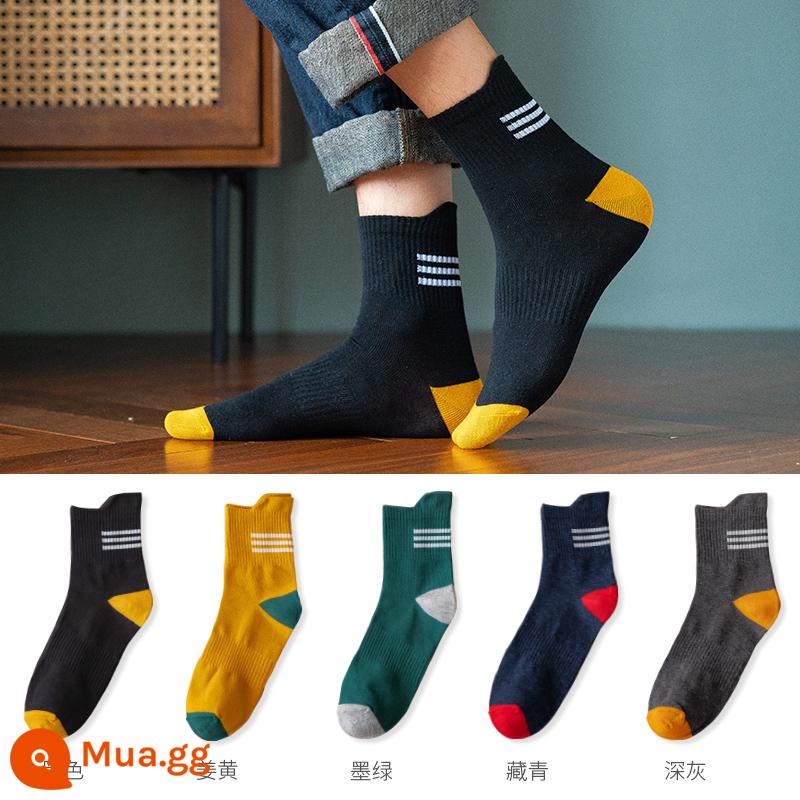 Vớ nam tính giữa, mồ hôi, mùa xuân đen, mùa thu và mùa đông nam không -cotton Stockings Thể thao Hệ thống Nhật Bản - Đen + nghệ + xanh đậm + xanh nước biển + xám đậm (năm đôi)